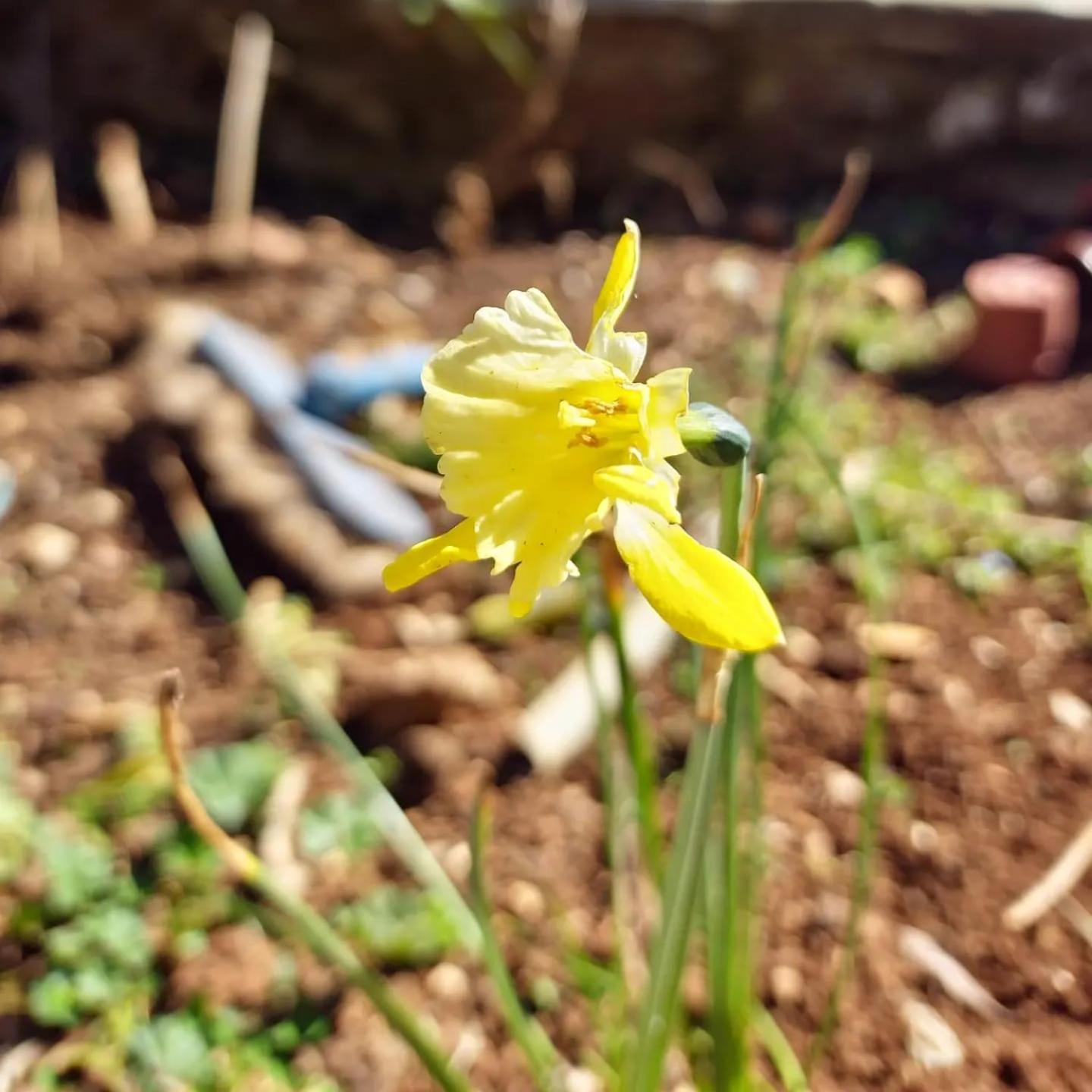 Villa Shuaipaj Gjirokastër 외부 사진