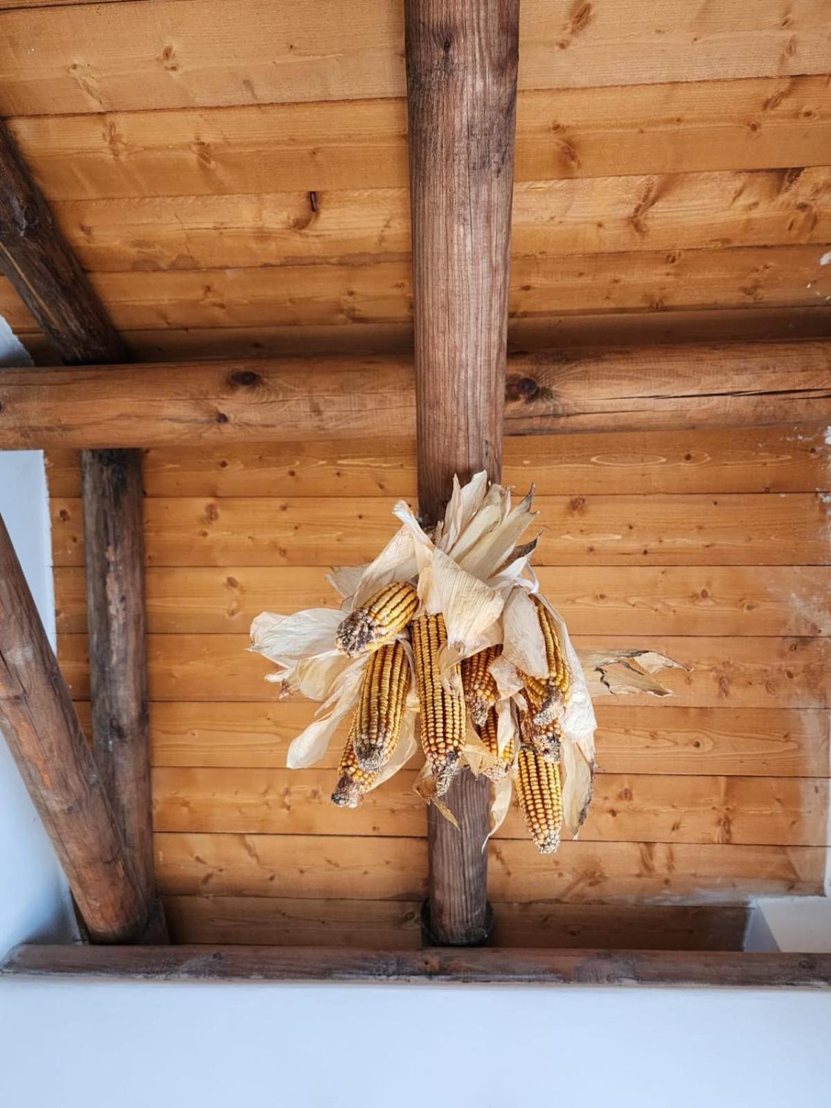 Villa Shuaipaj Gjirokastër 외부 사진